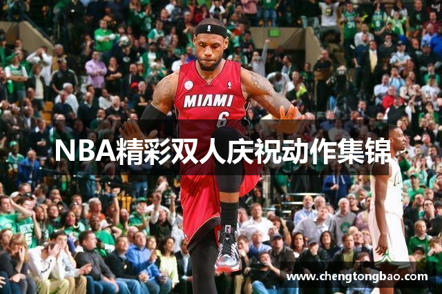 NBA精彩双人庆祝动作集锦